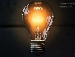 In the Mind of the Creator (The Plan of God) – Part 1